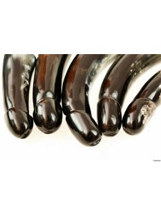Horn Phallusskulptur und Dildo. 18 bis 20 cm = Code D gl&auml;nzend poliert