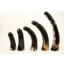 Horn Phallusskulptur und Dildo. 18 bis 20 cm = Code D gl&auml;nzend poliert