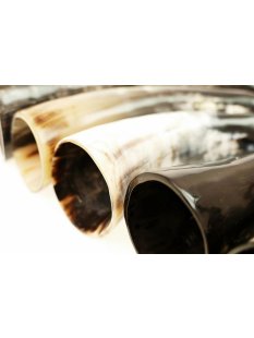 Horn Phallusskulptur und Dildo 24 bis 27 cm = Code F gl&auml;nzend poliert