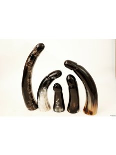 Horn Phallusskulptur und Dildo 24 bis 27 cm = Code F gl&auml;nzend poliert