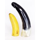 Horn Phallusskulptur und Dildo 24 bis 27 cm = Code F gl&auml;nzend poliert