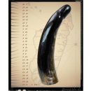Horn Phallusskulptur und Dildo 24 bis 27 cm = Code F gl&auml;nzend poliert