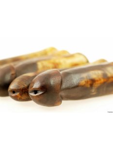 Horn Phallusskulptur und Dildo 18 bis 20 cm = Code D seidenmatt natur