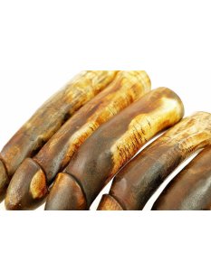 Horn Phallusskulptur und Dildo 18 bis 20 cm = Code D seidenmatt natur