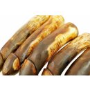 Horn Phallusskulptur und Dildo 18 bis 20 cm = Code D seidenmatt natur