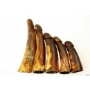 Horn Phallusskulptur und Dildo 21 bis 24 cm = Code E seidenmatt natur