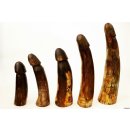 Horn Phallusskulptur und Dildo 21 bis 24 cm = Code E seidenmatt natur