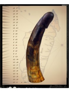 Horn Phallusskulptur und Dildo 24 bis 27 cm = Code F...