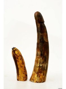 Horn Phallusskulptur und Dildo 24 bis 27 cm = Code F...
