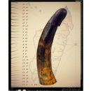 Horn Phallusskulptur und Dildo 24 bis 27 cm = Code F seidenmatt natur