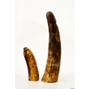 Horn Phallusskulptur und Dildo 24 bis 27 cm = Code F seidenmatt natur