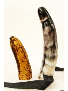 Horn Phallusskulptur und Dildo mit G&uuml;rtelschlitz. 18...