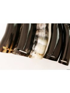 Horn Phallusskulptur und Dildo mit G&uuml;rtelschlitz. 15 bis 17 cm = Code C gl&auml;nzend poliert