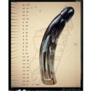 Horn Phallusskulptur und Dildo mit G&uuml;rtelschlitz. 21 bis 24 cm = Code E gl&auml;nzend poliert