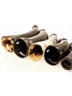 Horn Phallusskulptur und Dildo mit G&uuml;rtelschlitz. 24 bis 27 cm = Code F gl&auml;nzend poliert