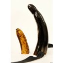 Horn Phallusskulptur und Dildo mit G&uuml;rtelschlitz. 24 bis 27 cm = Code F gl&auml;nzend poliert