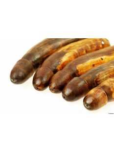 Horn Phallusskulptur und Dildo mit G&uuml;rtelschlitz 12 bis 15 cm = Code B seidenmatt natur