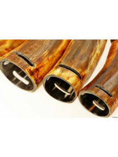 Horn Phallusskulptur und Dildo mit G&uuml;rtelschlitz. 18...