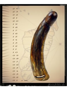 Horn Phallusskulptur und Dildo mit G&uuml;rtelschlitz. 21 bis 24 cm = Code E seidenmatt natur