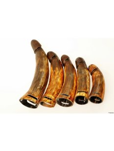 Horn Phallusskulptur und Dildo mit G&uuml;rtelschlitz. 21 bis 24 cm = Code E seidenmatt natur