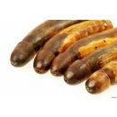 Horn Phallusskulptur und Dildo mit G&uuml;rtelschlitz. 21 bis 24 cm = Code E seidenmatt natur