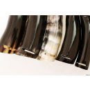 Horn Phallusskulptur und Dildo mit G&uuml;rtelschlitz 12 bis 15 cm = Code B gl&auml;nzend poliert