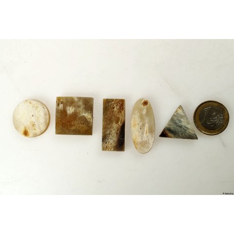 Hornplatten matt poliert 25 mm rechteckig