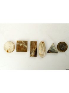 Hornplatten matt poliert 25 mm rechteckig