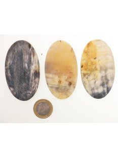 Hornplatten 70 x 40 mm oval matt poliert