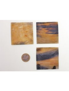 Hornplatten 70 x 40 mm rechteckig matt poliert