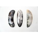 Horn Haarspange rund poliert mit Metallclip Made in France Patent 80 mm = Code D