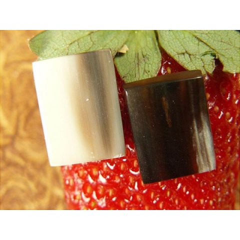 Horn Ohrclip. rechteck 15 mm = Code E