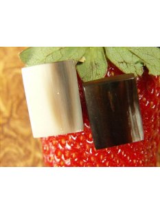Horn Ohrclip. rechteck 15 mm = Code E