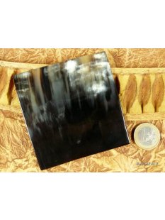 Horn Broschen. 8 cm = Code E dunkel oval