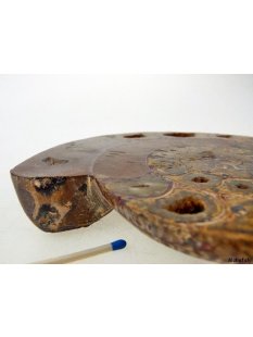 AM01 Ammonit Querschnitt D 160 mm allseitig poliert 740 g