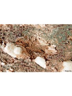 GS16 Granatstufe Madagaskar 3750 g