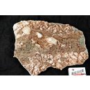 GS16 Granatstufe Madagaskar 3750 g