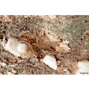 GS16 Granatstufe Madagaskar 3750 g