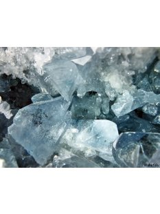 C&Ouml;10 C&ouml;lestin Druse Coelestin 4780 g