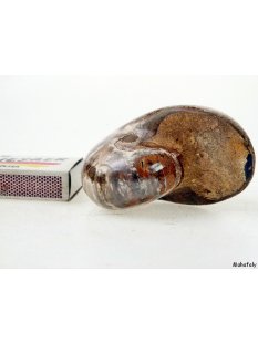 AM34 Ammonit Nautilus Perlboot D 95 mm poliert 450 g