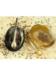 Horn Schale Mini 6 cm oval mit L&ouml;ffel  Code A