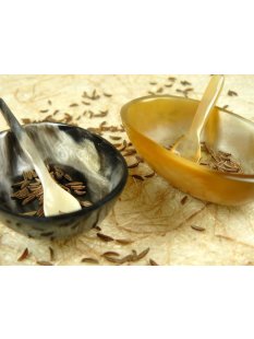 Horn Schale Mini 6 cm oval mit L&ouml;ffel  Code A