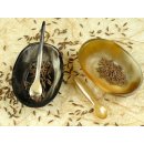 Horn Schale Mini 6 cm oval mit L&ouml;ffel  Code A