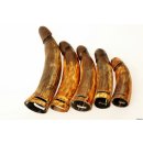 Horn Phallusskulptur und Dildo mit G&uuml;rtelschlitz. 15 bis 17 cm = Code C seidenmatt natur