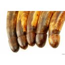 Horn Phallusskulptur und Dildo mit G&uuml;rtelschlitz. 15 bis 17 cm = Code C seidenmatt natur