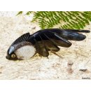 Hornfigur Schleierfisch = Code H 15 cm