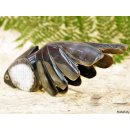 Hornfigur Schleierfisch = Code H 15 cm