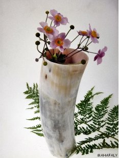 Horn Vase Watussi Horn Robert 30 cm = 30 % reduziert