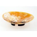 Horn Seifenschale mit Fu&szlig; oval 14 x 10 cm 1A Qualit&auml;t = Code D