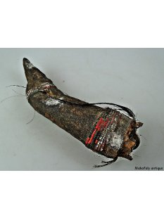 Zauberhorn Mohara ody Nr.2,  Amulett und Fetisch der...